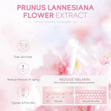 Sakura Skin Care Set | by Anwer Fancy | Worldwide Shipping
