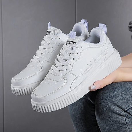 Unisex Mesh Skate Sneakers | by Anwer Fancy | Worldwide Shipping